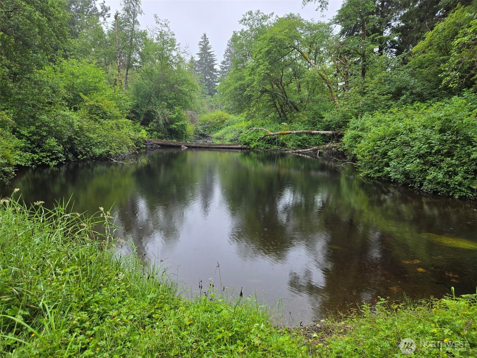 -nka Ocean Beach Road Copalis Crossing, WA 98536 - Photo 5 of 10 Gallery Image 5