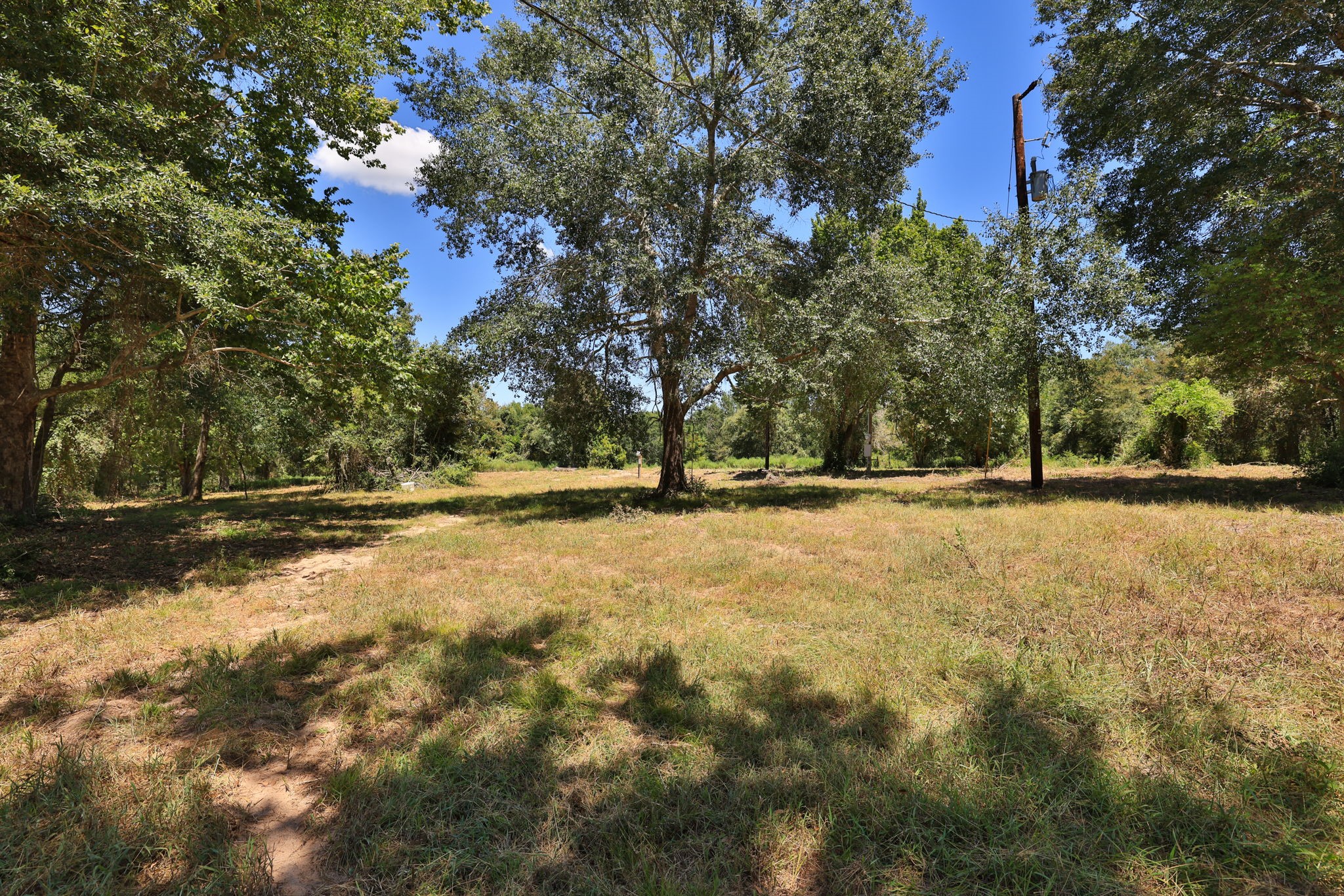 42219 Cedar Creek Road Hempstead, TX 77445 - Photo 8 of 29 Gallery Image 8