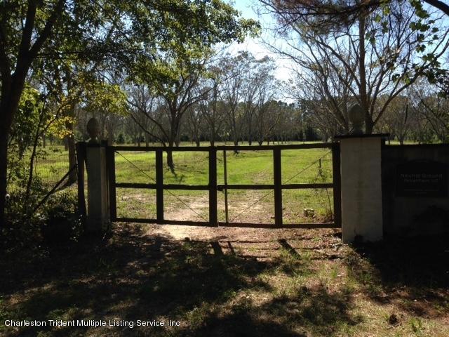 761 Wilson Cemetery Road Awendaw, SC 29429 - Photo 2 of 16 IMG_0163