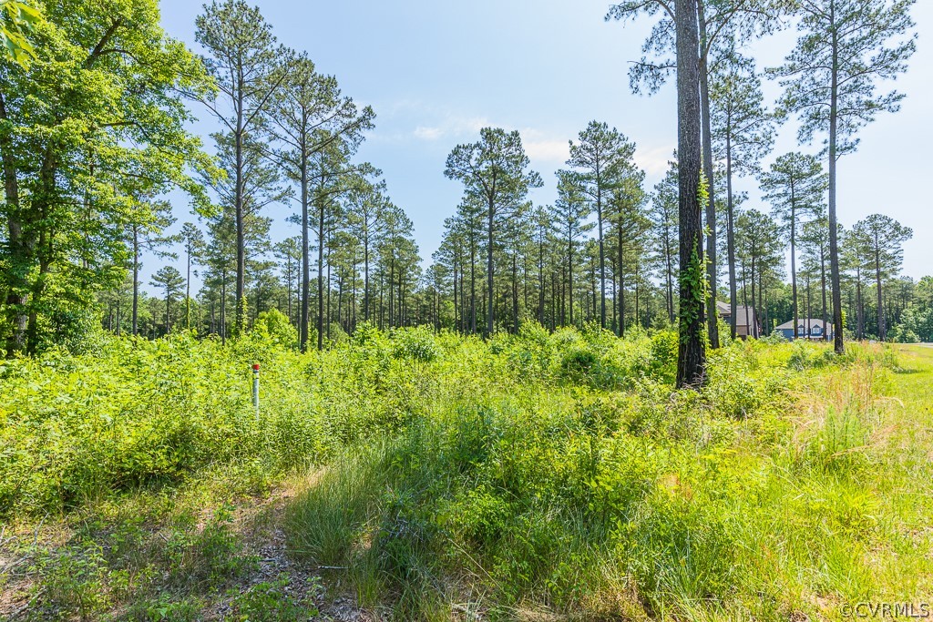 7028 Scotland Woods Road Hanover, VA 23069 - Photo 4 of 10 Gallery Image 4