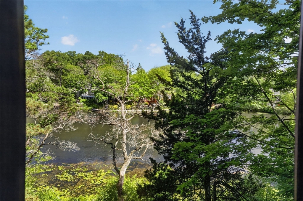 30 R Morses Pond Road Wellesley, MA 01760 - Photo 18 of 23