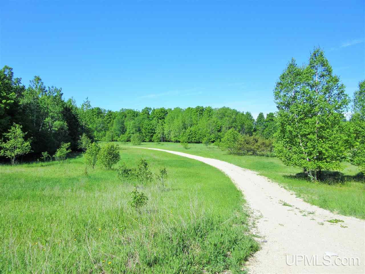 10872 Davidson Road Cooks, MI 49817 - Photo 10 of 23