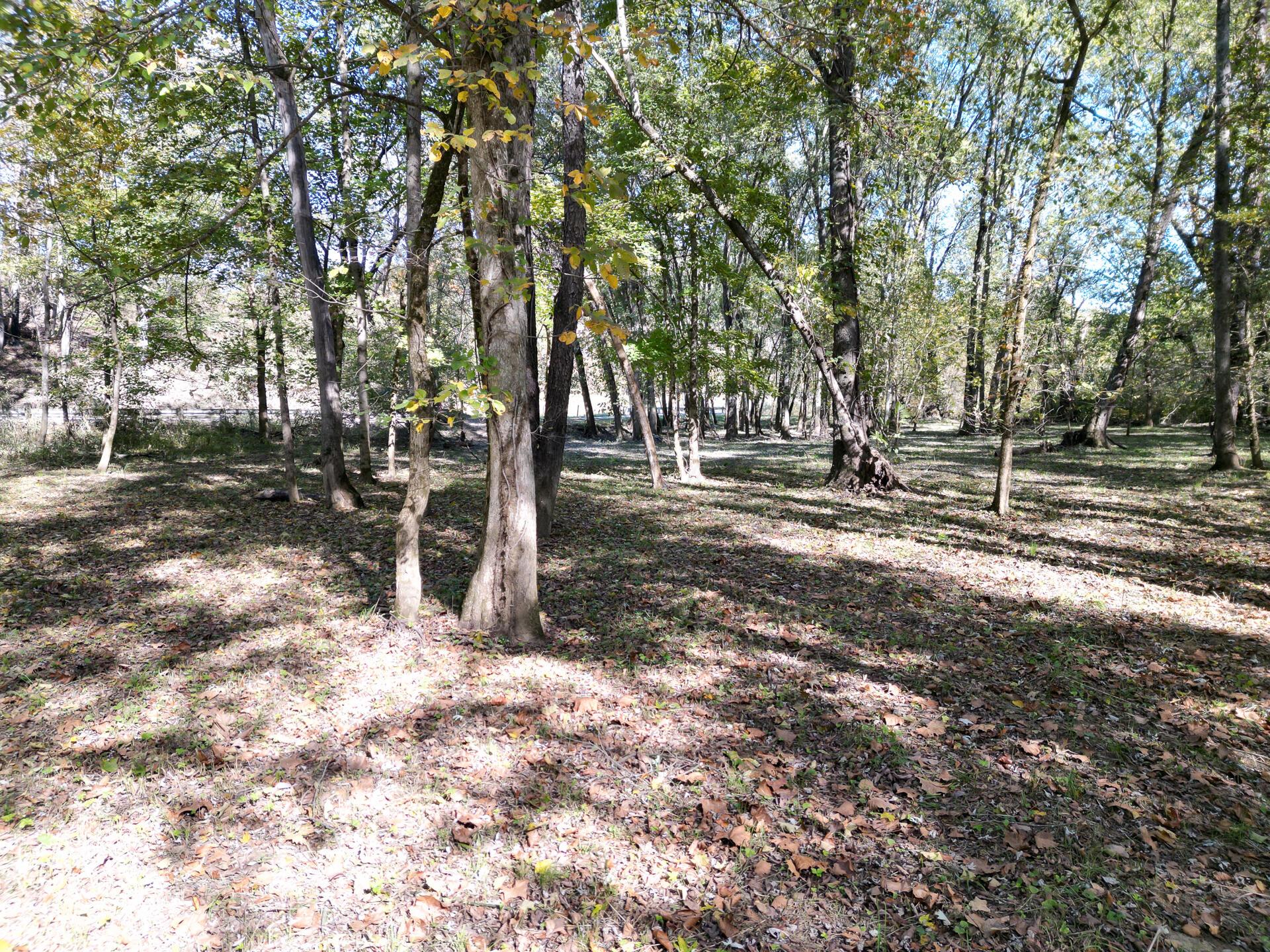 1462 Keystone Road, Unit RACCOON CREEK ADVENTURES) Vinton, OH 45686 - Photo 59 of 69