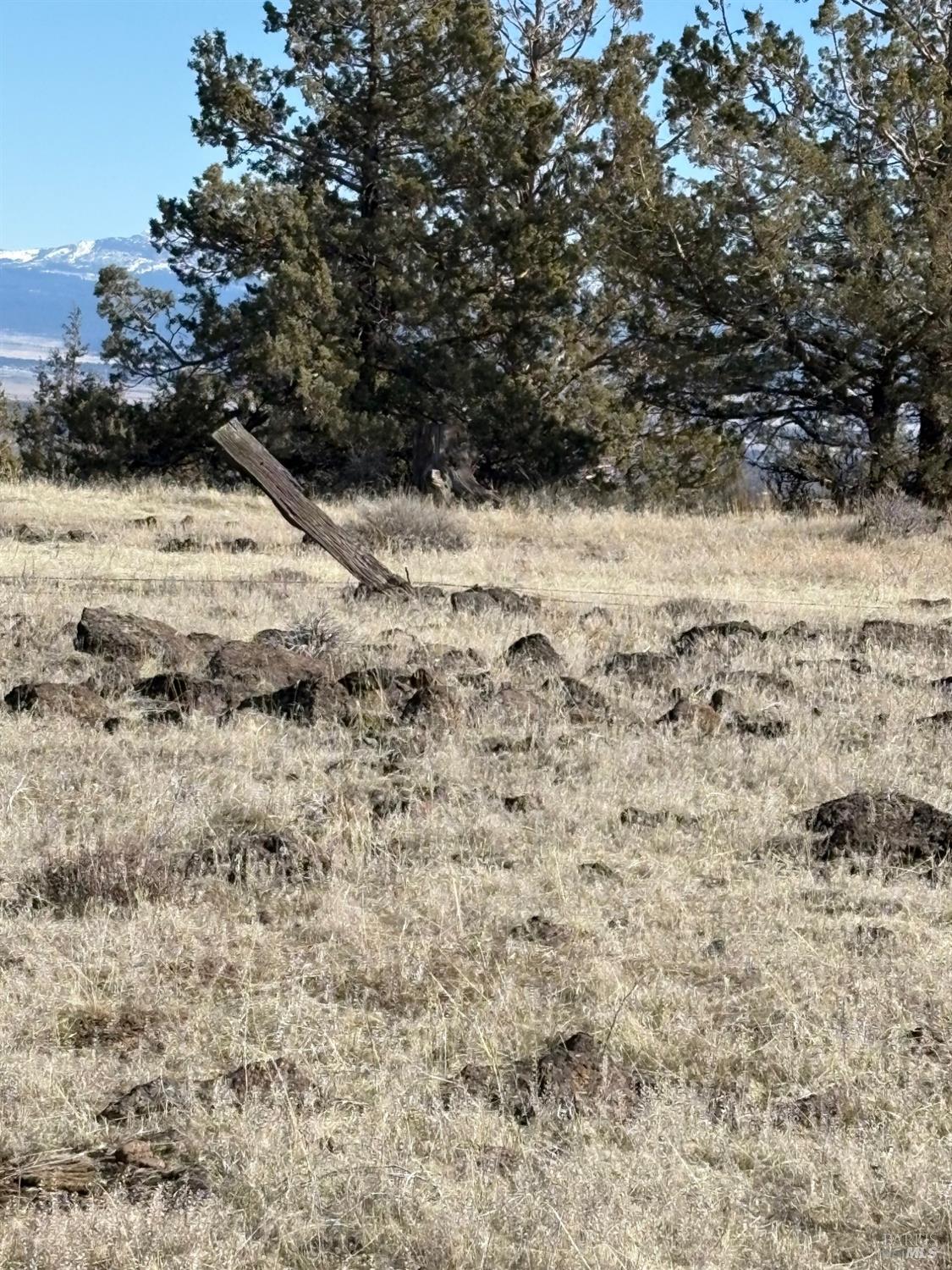 0 North A Canby, CA 96015 - Photo 11 of 14