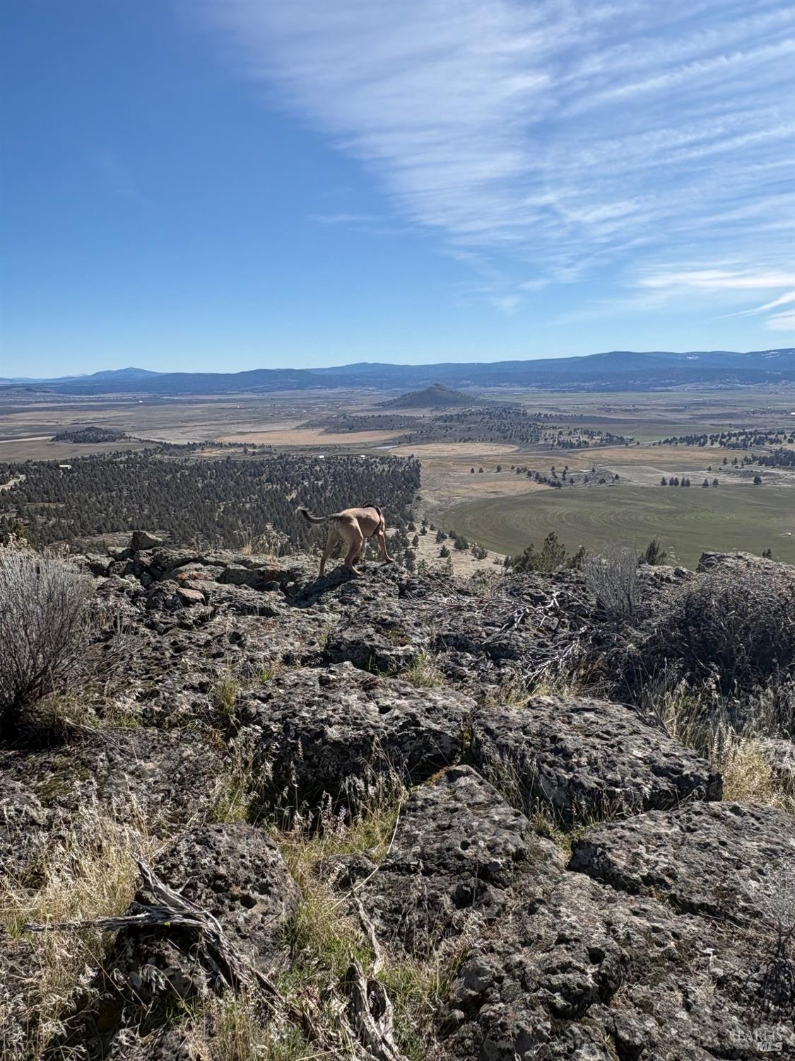 0 North A Canby, CA 96015 - Photo 12 of 14