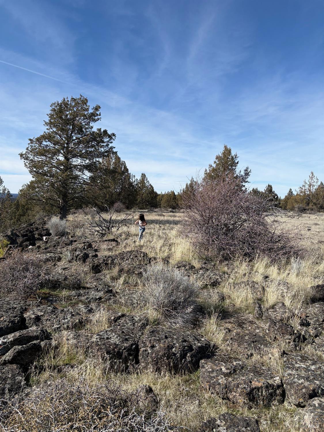 0 North A Canby, CA 96015 - Photo 13 of 14