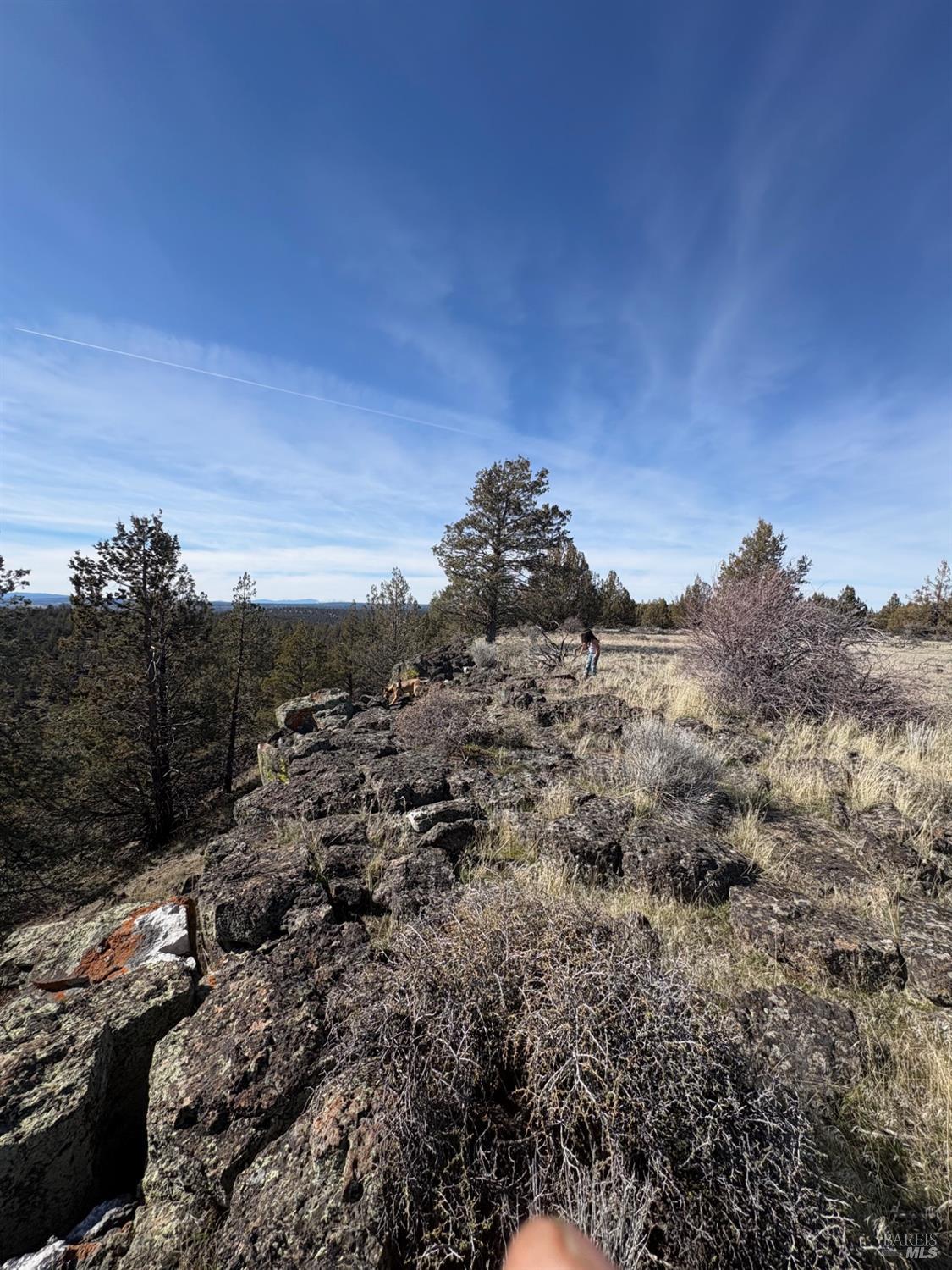 0 North A Canby, CA 96015 - Photo 14 of 14