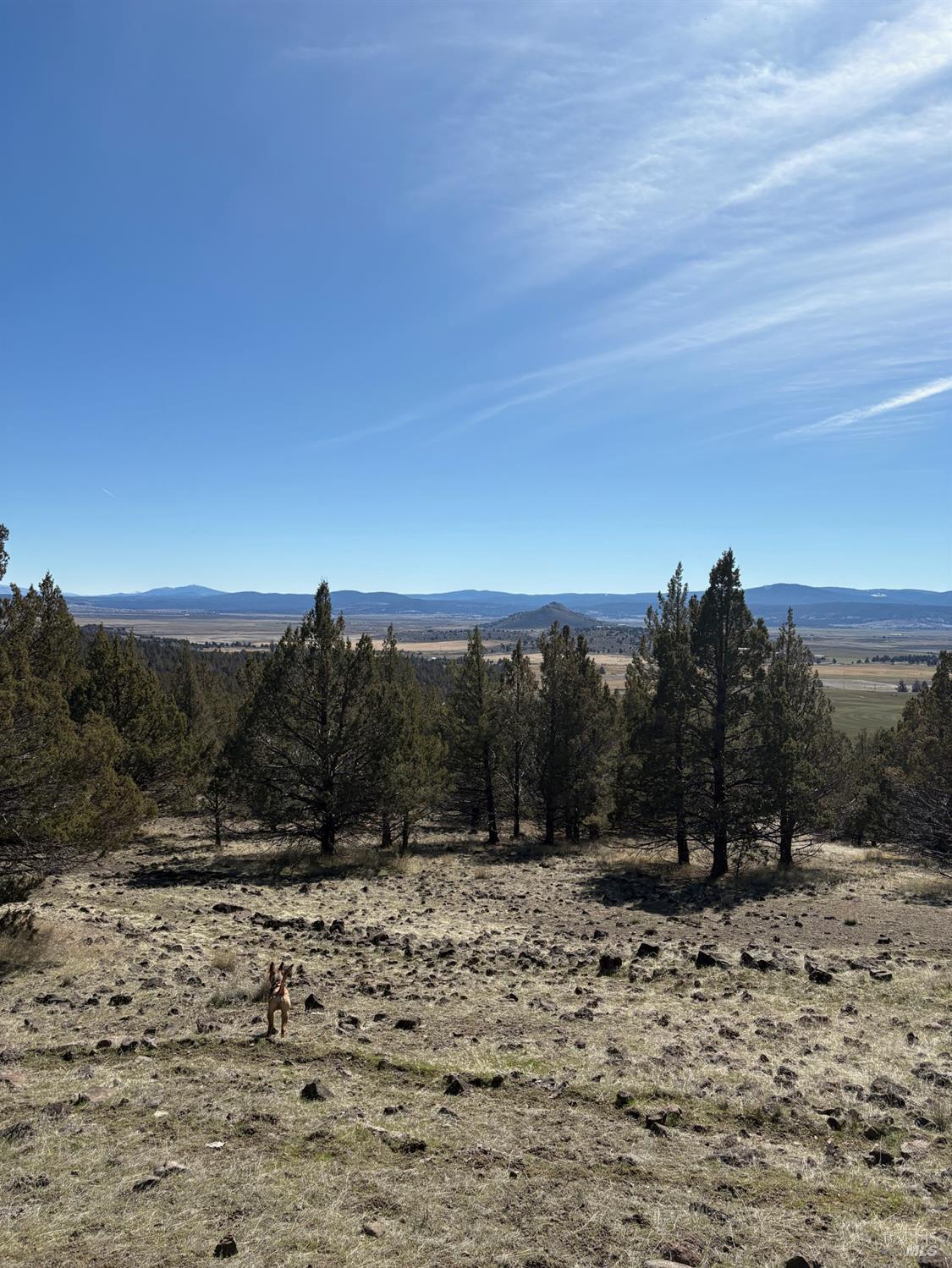 0 North A Canby, CA 96015 - Photo 9 of 14