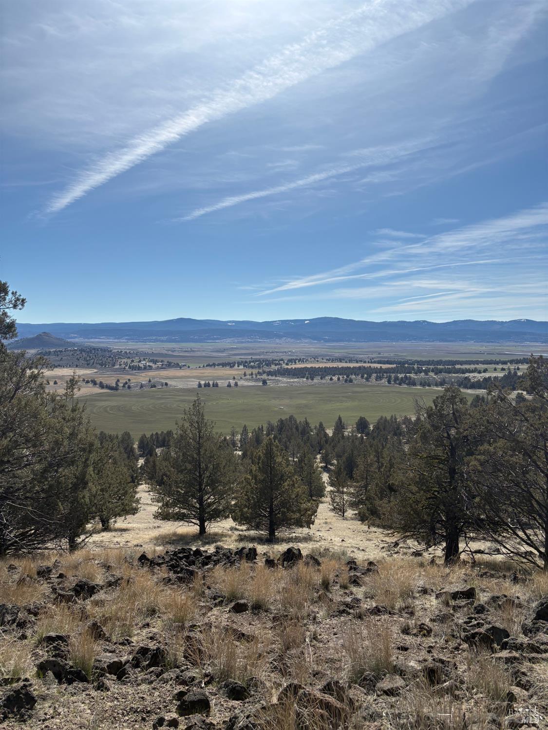 0 North A Canby, CA 96015 - Photo 10 of 14