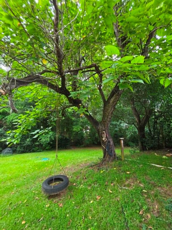 4514 West Loop 281 Longview, TX 75604 - Photo 36 of 36 Lush green lawn featuring mature trees with verdant foliage