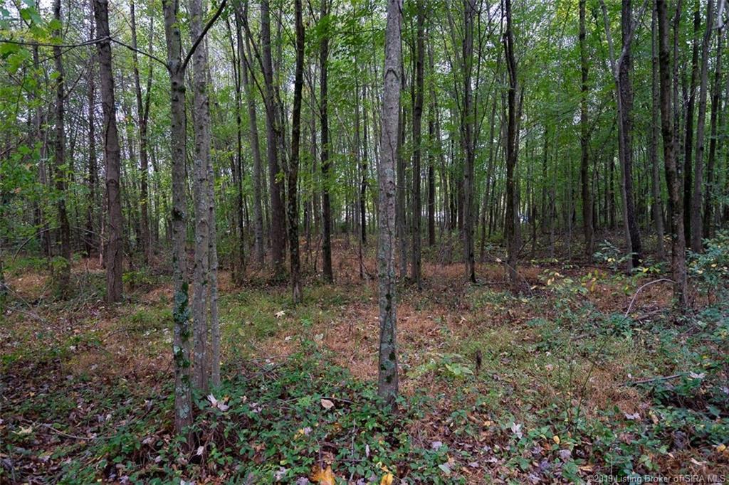 13808 Wilson Switch Road Borden, IN 47106 - Photo 17 of 41 Gallery Image 17