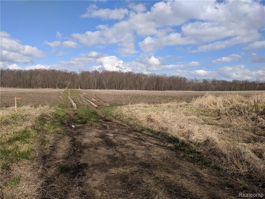 12425 Bliven Parcel A Only Road Byron, MI 48418 - Photo 1 of 1 Gallery Image 1