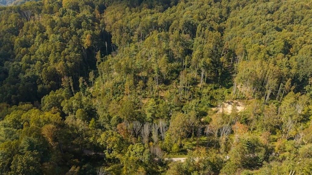 Lot 1 Twin Falls Road Northeast Merna, NE 68856 - Photo 13 of 38 Gallery Image 13
