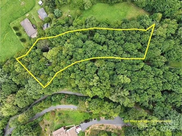 a view of a yard with a plant