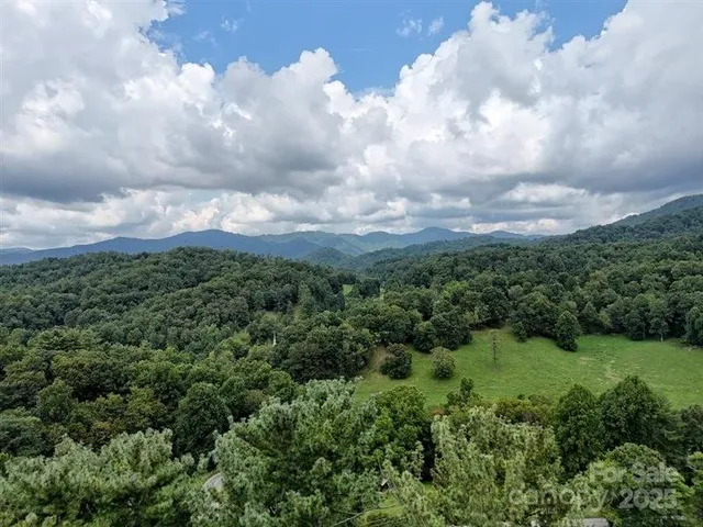 an aerial view of parked car covered with lots of trees