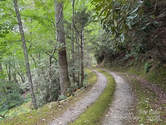 a view of a yard with trees