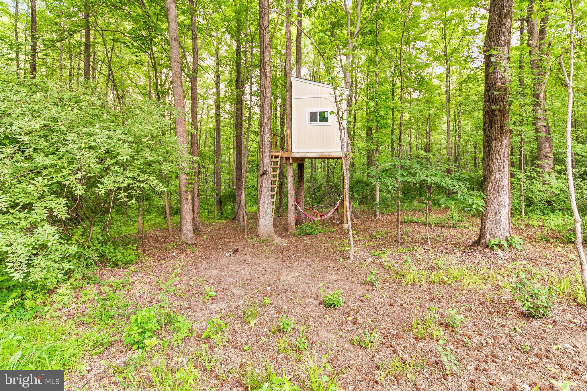 198 3 Rivers Road Harwood, MD 20776 - Photo 39 of 41 Tree House with Zip Lines