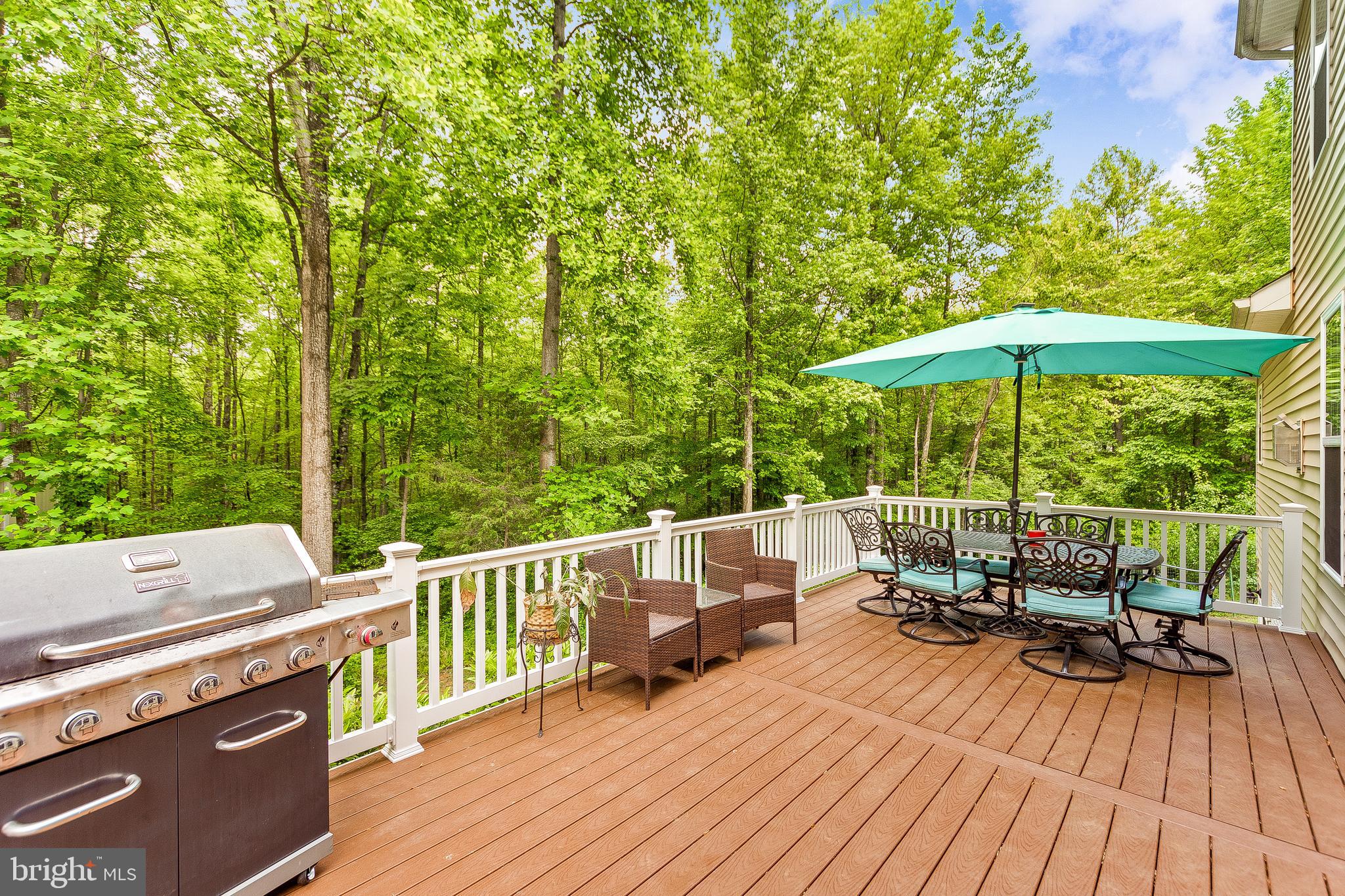 198 3 Rivers Road Harwood, MD 20776 - Photo 8 of 41 Trex Deck