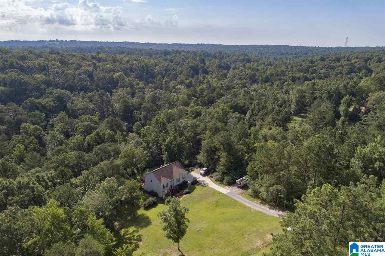 2277 Mt View Road Hayden, AL 35079 - Photo 44 of 46