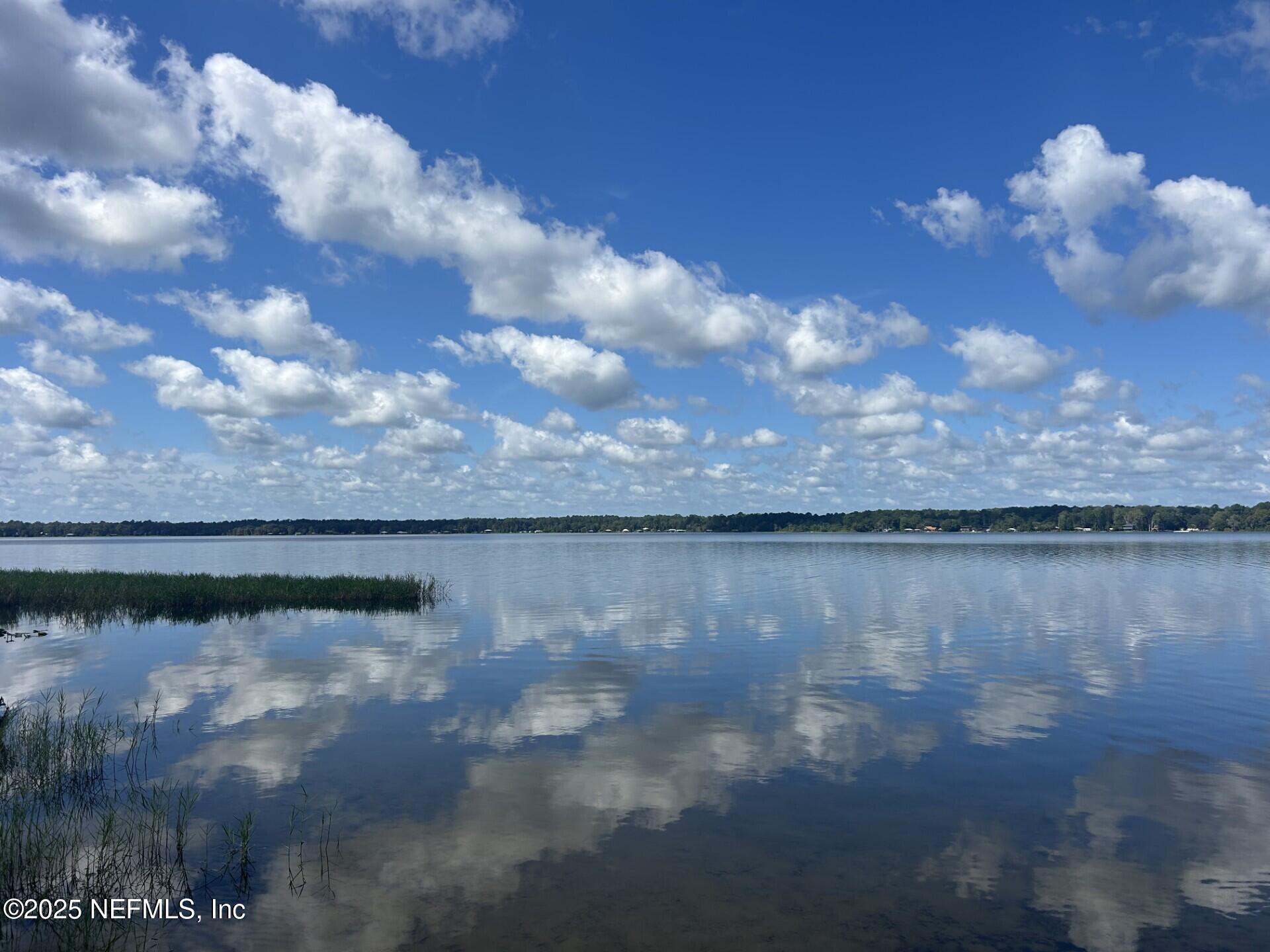 100 Georges Lake Boat Ramp Road Florahome, FL 32140 - Photo 9 of 12 a view of swimming pool and yard in back