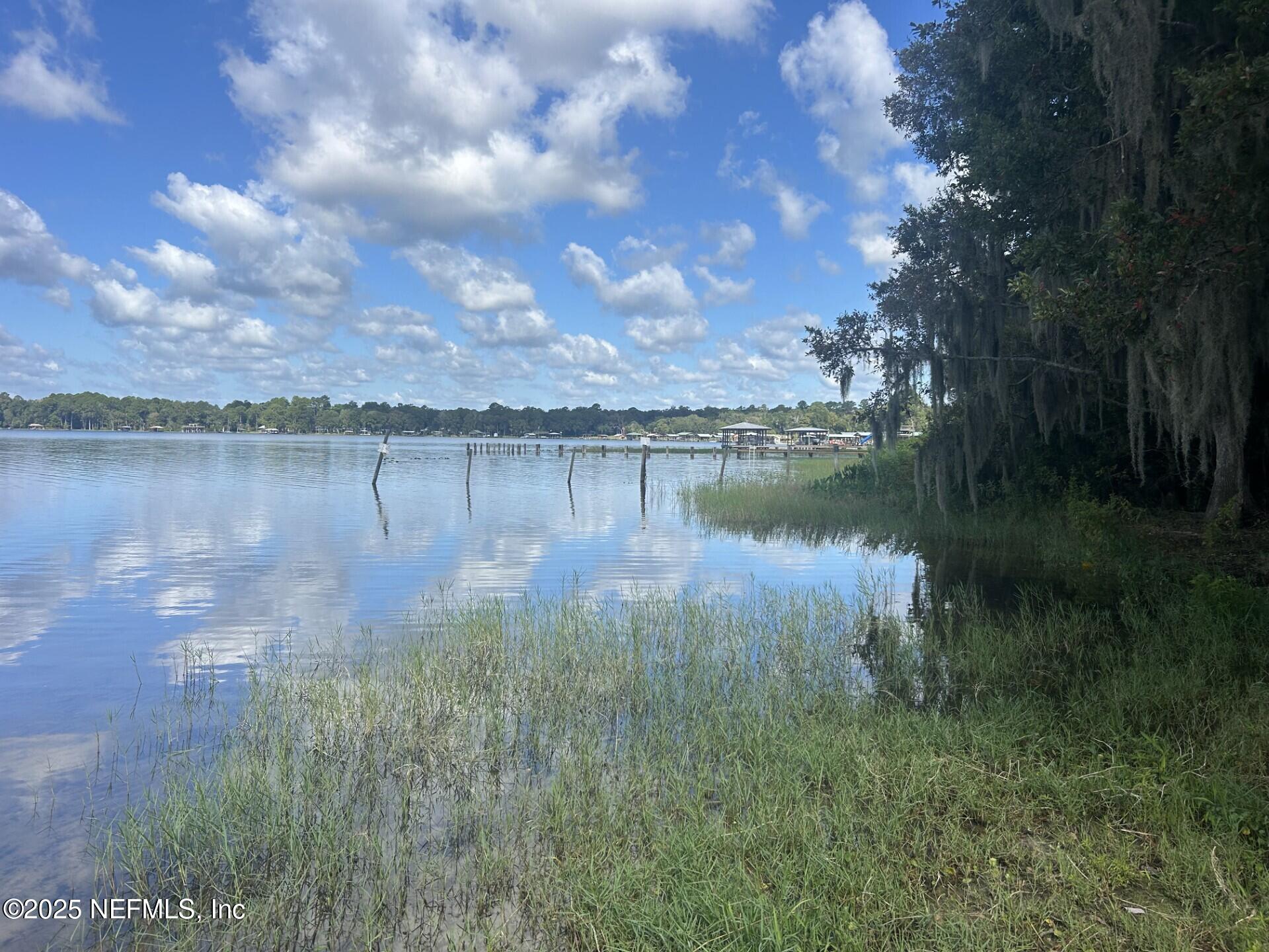 100 Georges Lake Boat Ramp Road Florahome, FL 32140 - Photo 10 of 12 a view of a lake from a yard