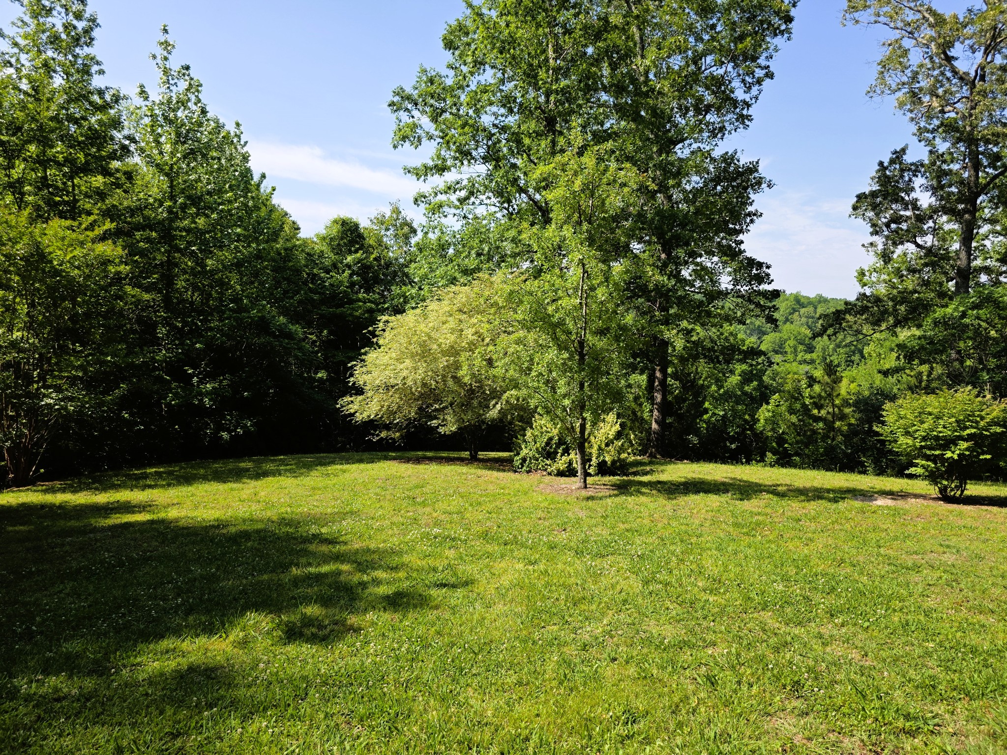 1975 Kelly Road Holladay, TN 38341 - Photo 88 of 95