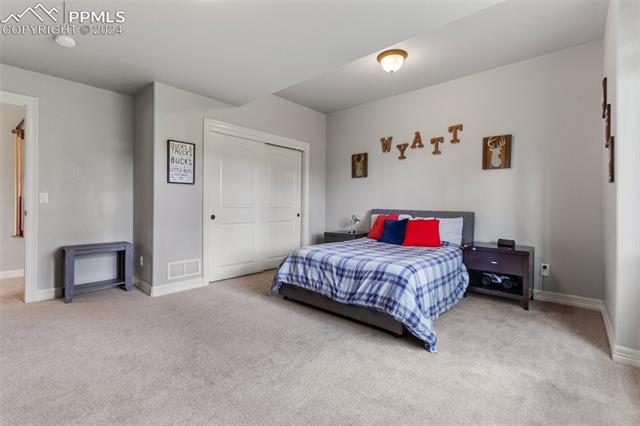7880 Monarch Road Larkspur, CO 80118 - Photo 25 of 25 Carpeted bedroom featuring a closet