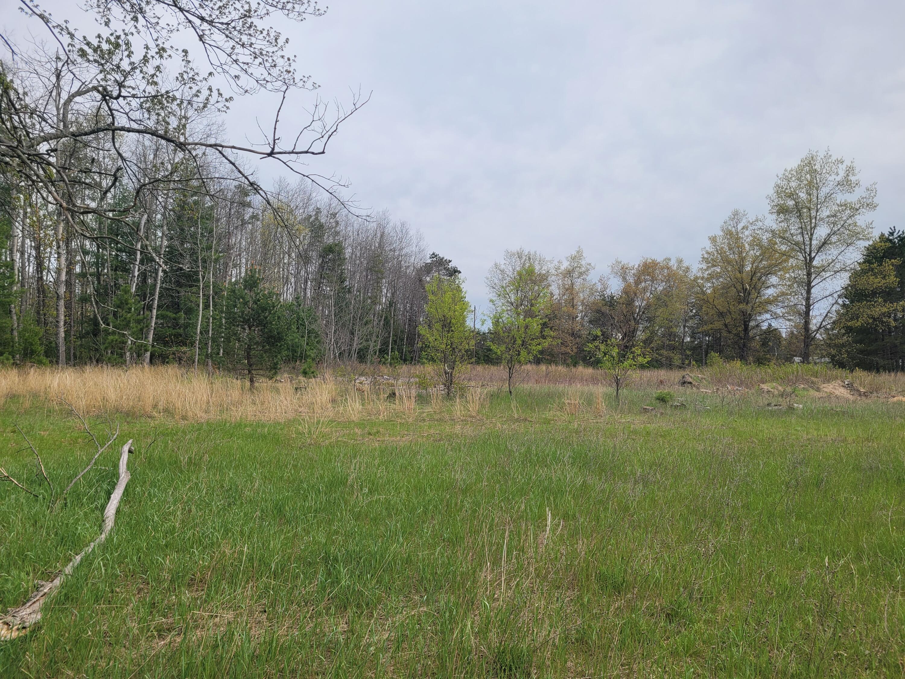 12902 Kohlman Road Atlanta, MI 49709 - Photo 10 of 36 6.23 acres