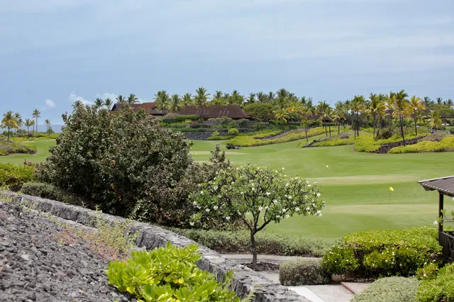 a view of a lake with a building in the background