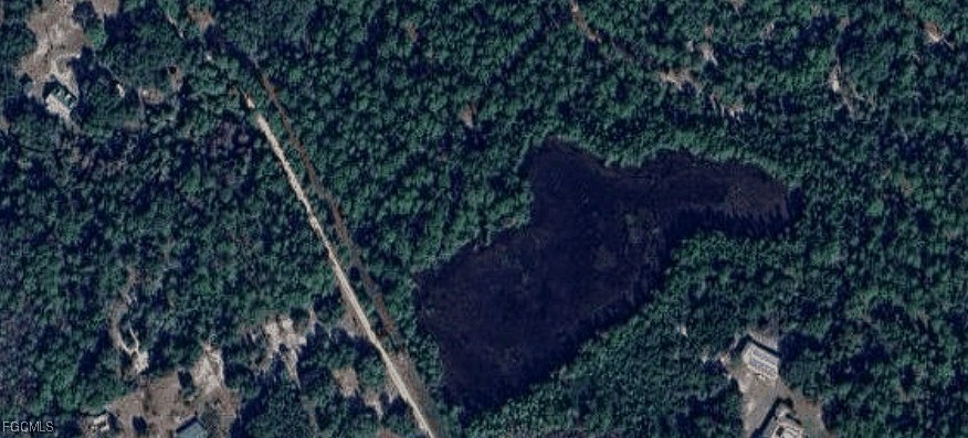 105 Brierly Street Georgetown, FL 32139 - Photo 2 of 2 a picture of tree