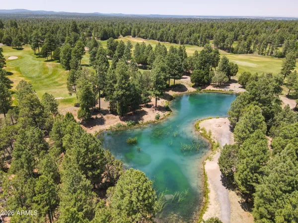 a view of a golf course with a park