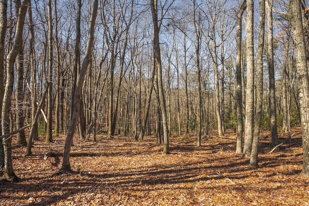 494 Soapstone Hill Road Southeast Floyd, VA 24091 - Photo 18 of 35 18