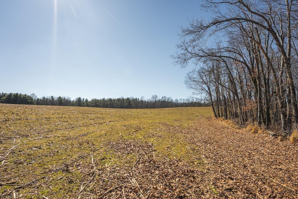 494 Soapstone Hill Road Southeast Floyd, VA 24091 - Photo 54 of 72 17