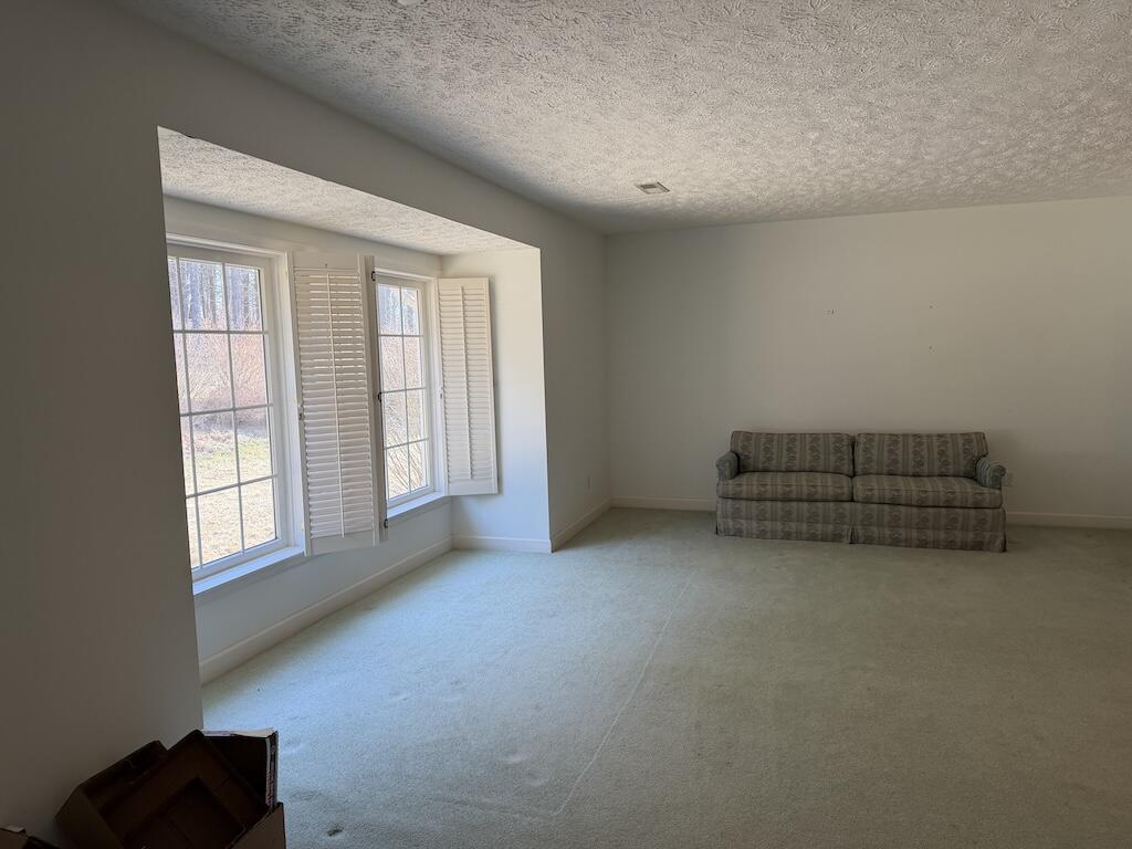 494 Soapstone Hill Road Southeast Floyd, VA 24091 - Photo 7 of 72 IMG_4470