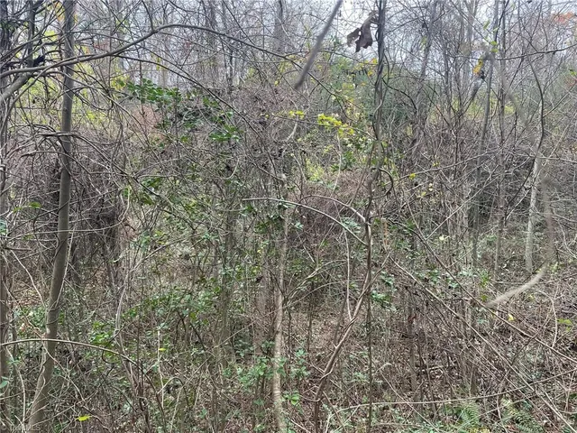 $25,000 | Block A Pulco Lane, Ronda, NC 28670