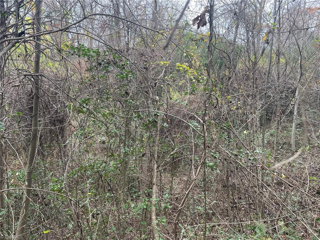 Block A Pulco Lane Ronda, NC 28670 - Photo 5 of 7