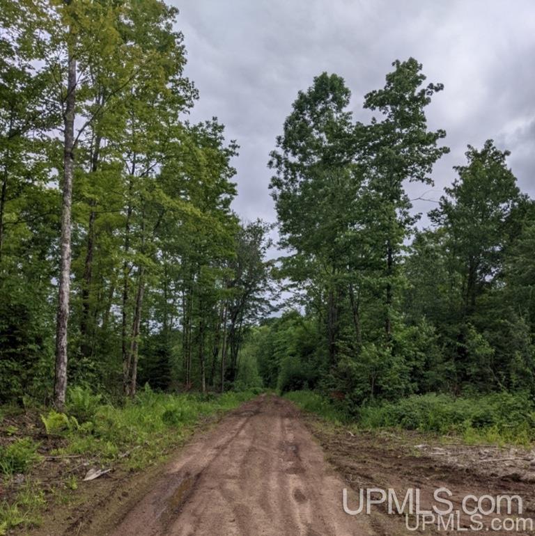 Ffr 4584 Forest Road Iron River, MI 49935 - Photo 2 of 12