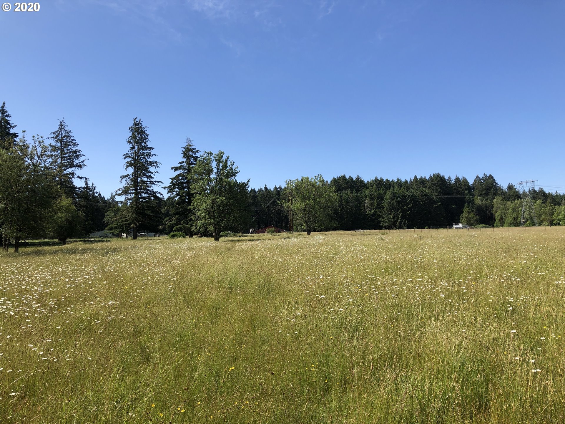 25309 Fleck Road Veneta, OR 97487 - Photo 12 of 15 Gallery Image 12