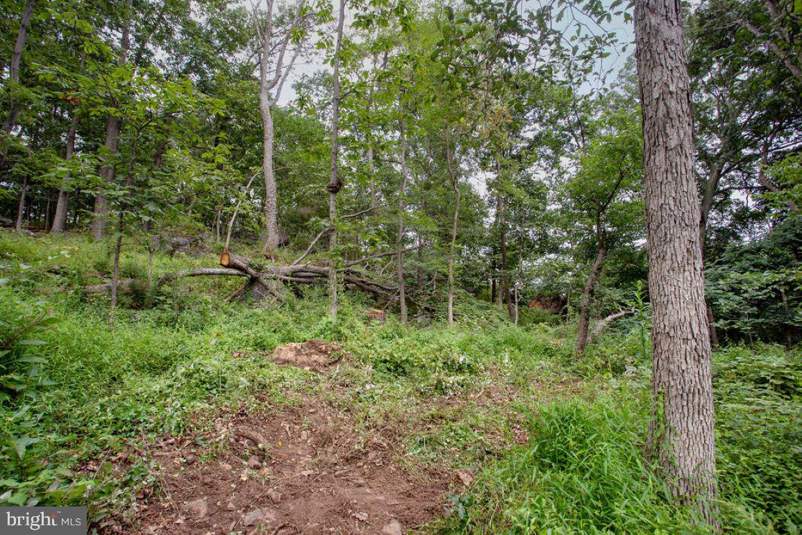 2325 York Road Gettysburg, PA 17325 - Photo 47 of 62