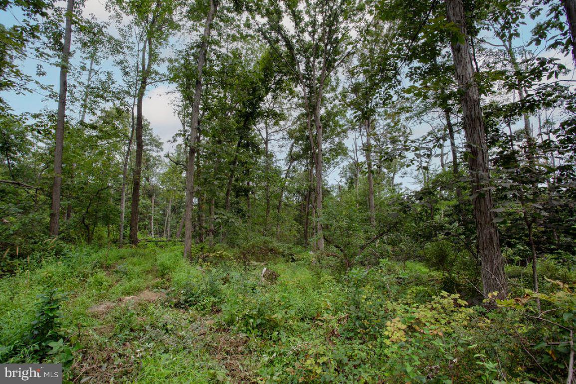 2325 York Road Gettysburg, PA 17325 - Photo 51 of 62