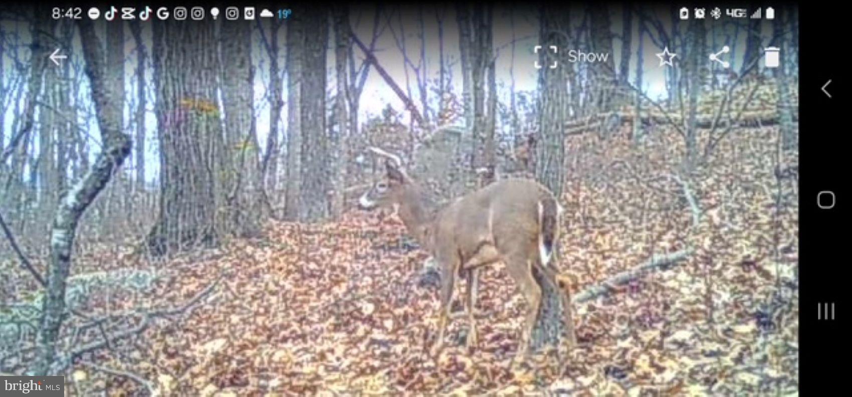 2325 York Road Gettysburg, PA 17325 - Photo 56 of 62