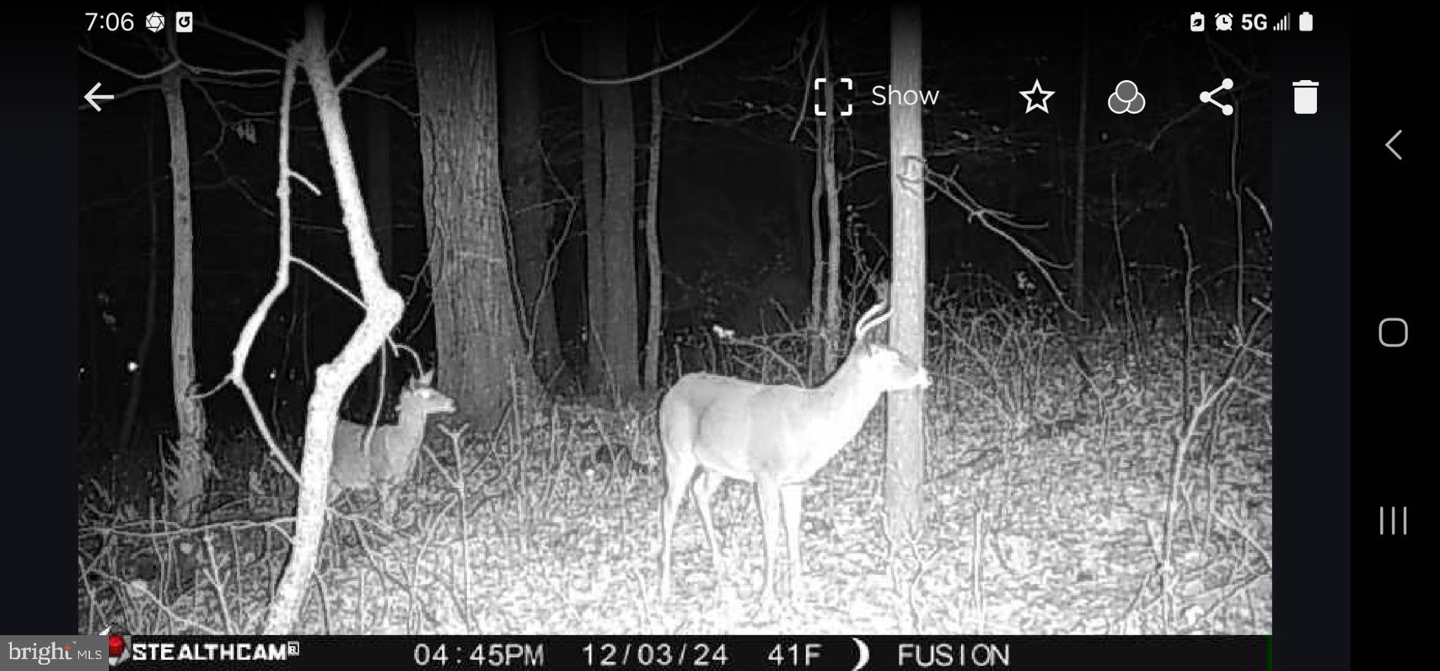 2325 York Road Gettysburg, PA 17325 - Photo 59 of 62