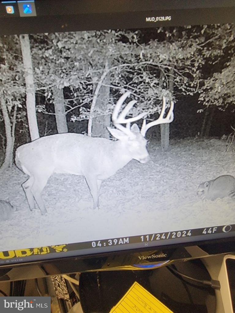 2325 York Road Gettysburg, PA 17325 - Photo 61 of 62