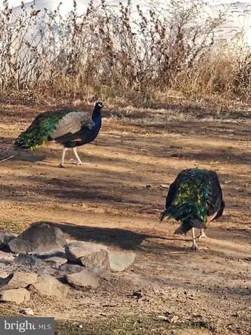 $629,900 | 2325 York Road, Gettysburg, PA 17325