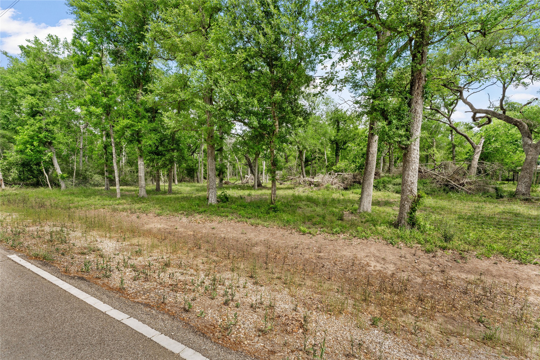 0 King's Oak Drive Damon, TX 77430 - Photo 4 of 29