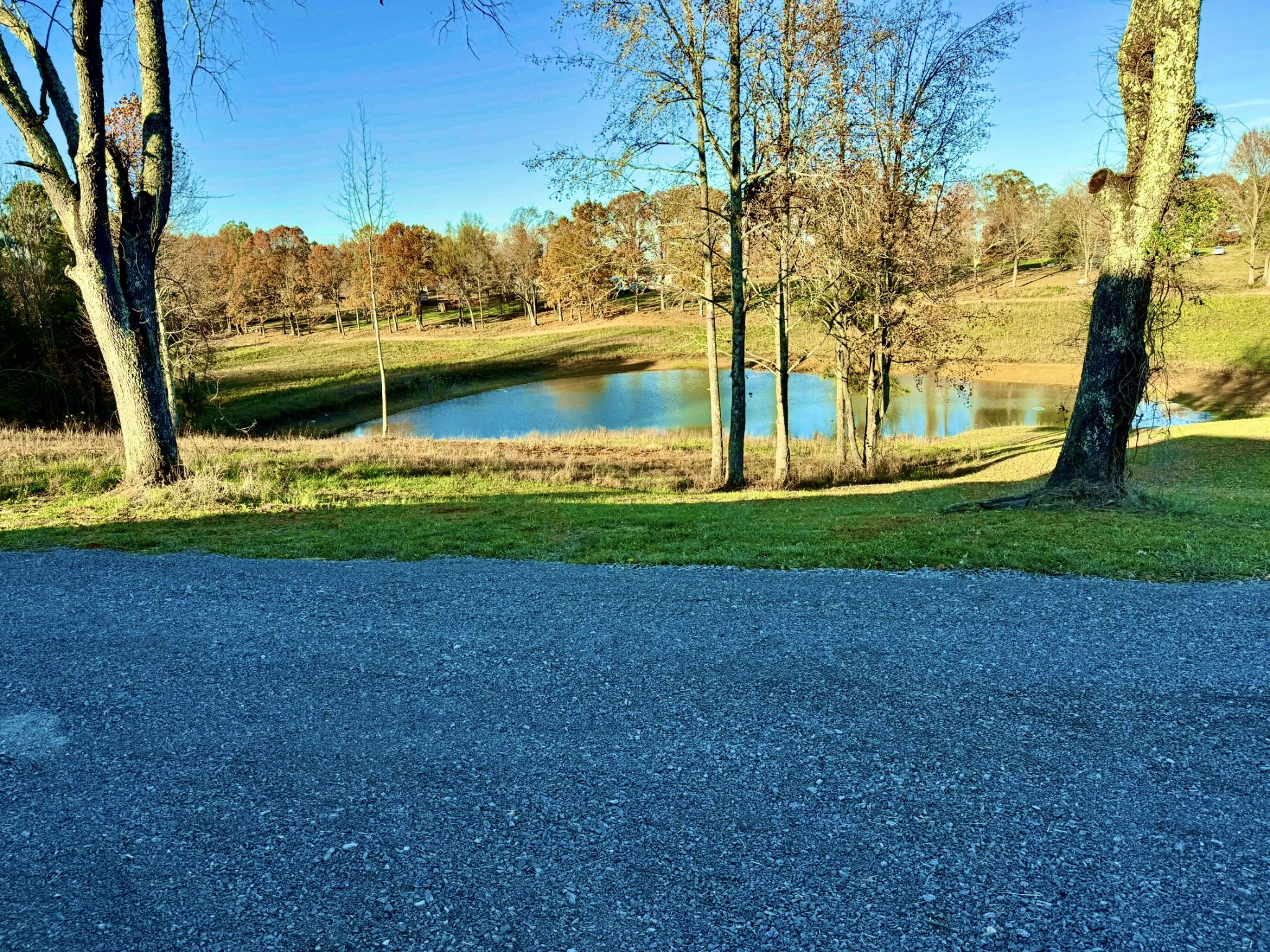 9461 Short Mountain Road Smithville, TN 37166 - Photo 22 of 26 a view of a yard with a large trees