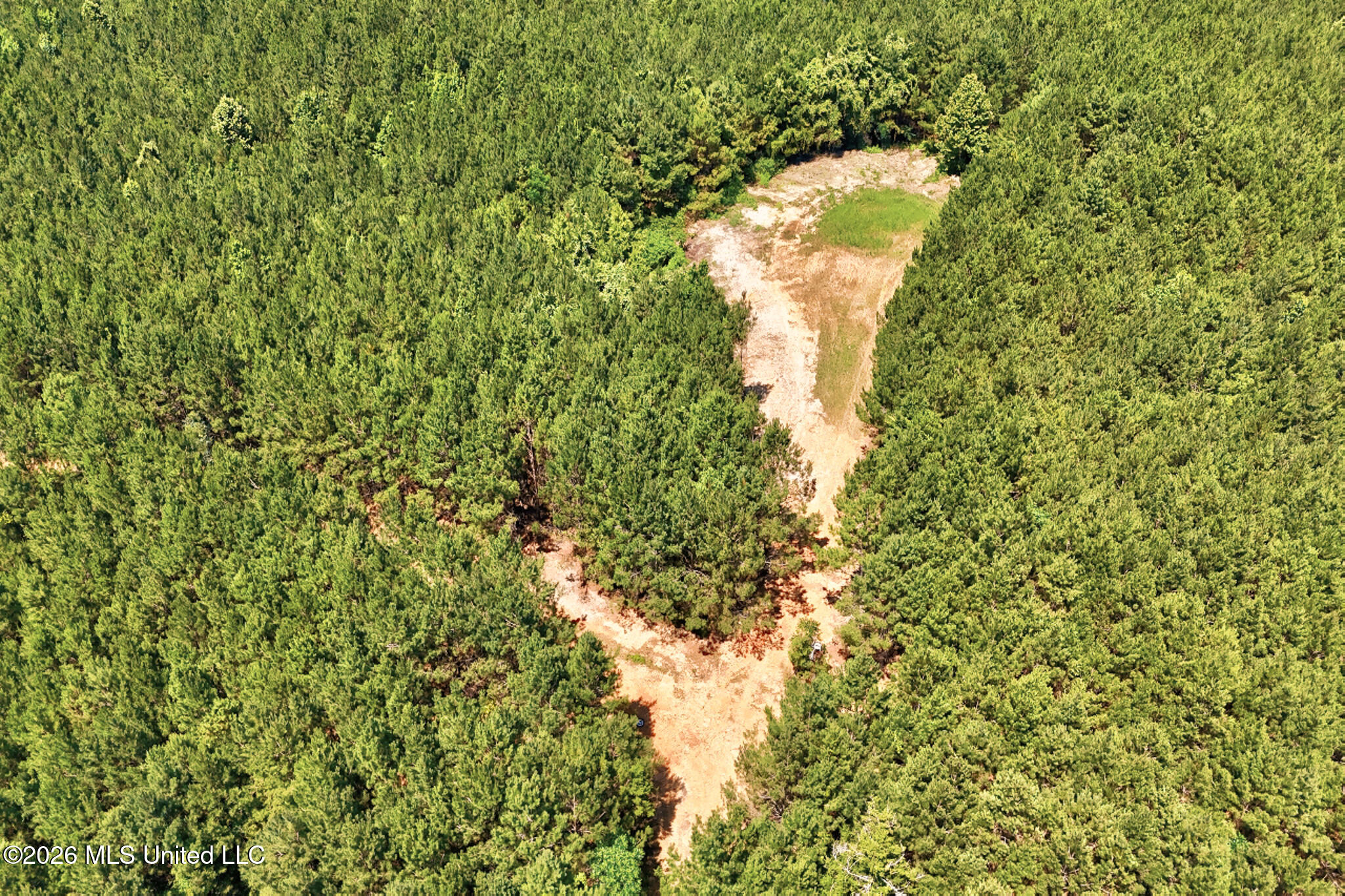 Northwest Ben Briggs Road Northwest Roxie, MS 39661 - Photo 5 of 17 DJI_20260610113113_0031_D_2_D_3_D-2