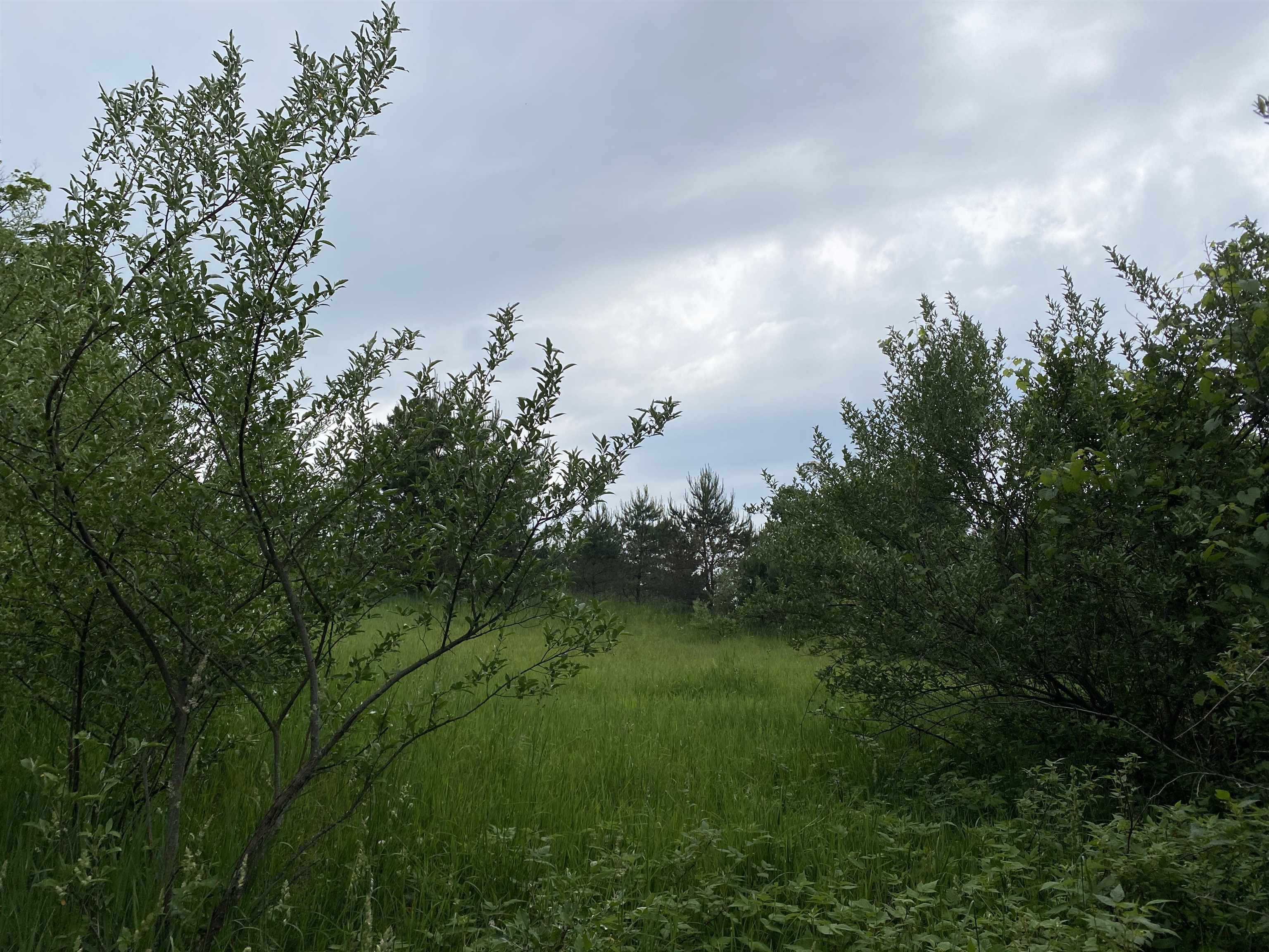 Parcel A Cemetery Road, Unit LOT: A Alden, MI 49612 - Photo 24 of 24