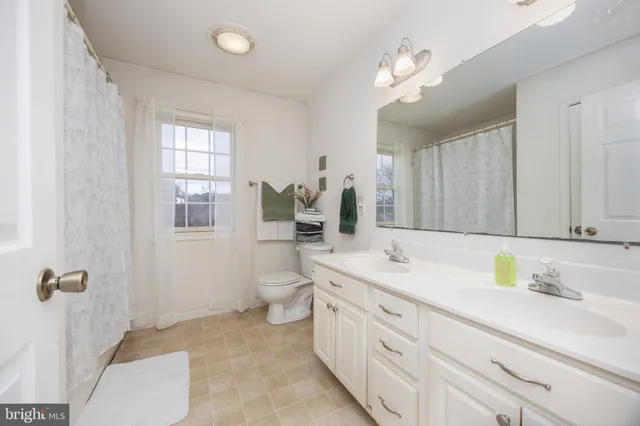 a bathroom with a sink a toilet and mirror