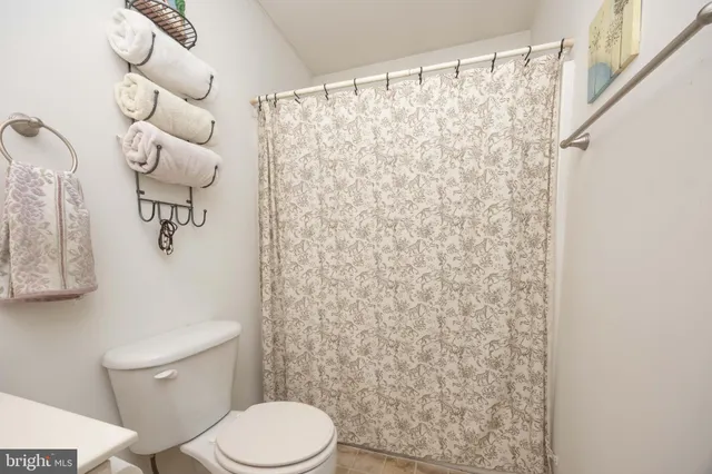 a white toilet sitting next to a shower curtain